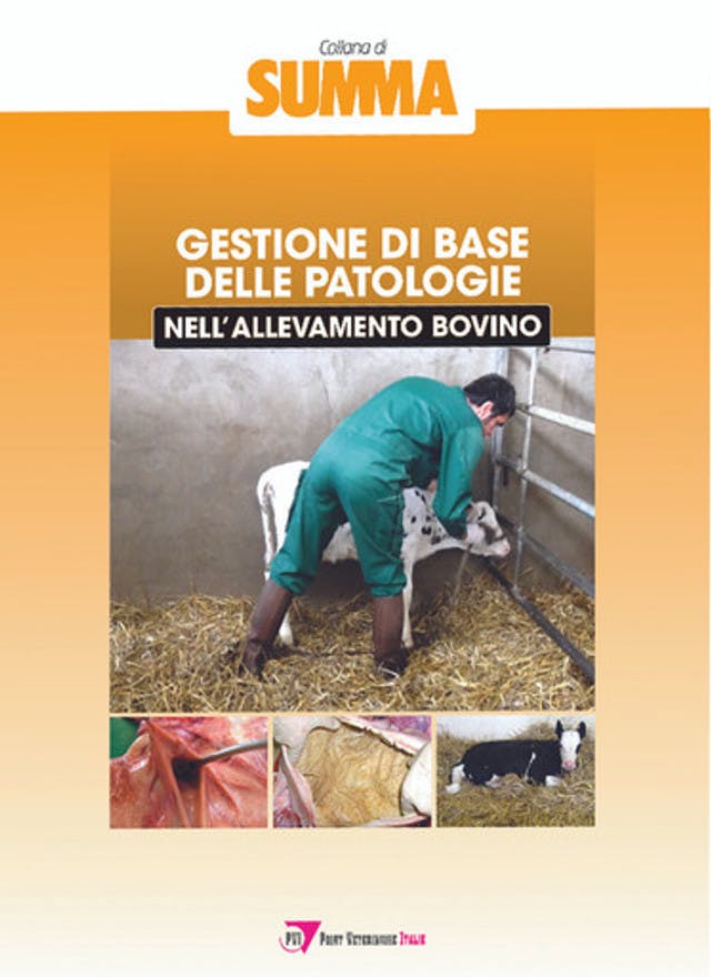 Gestione di base delle patologie nell’allevamento bovino