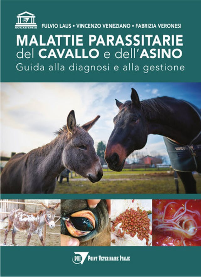 Malattie parassitarie del cavallo e dell’asino