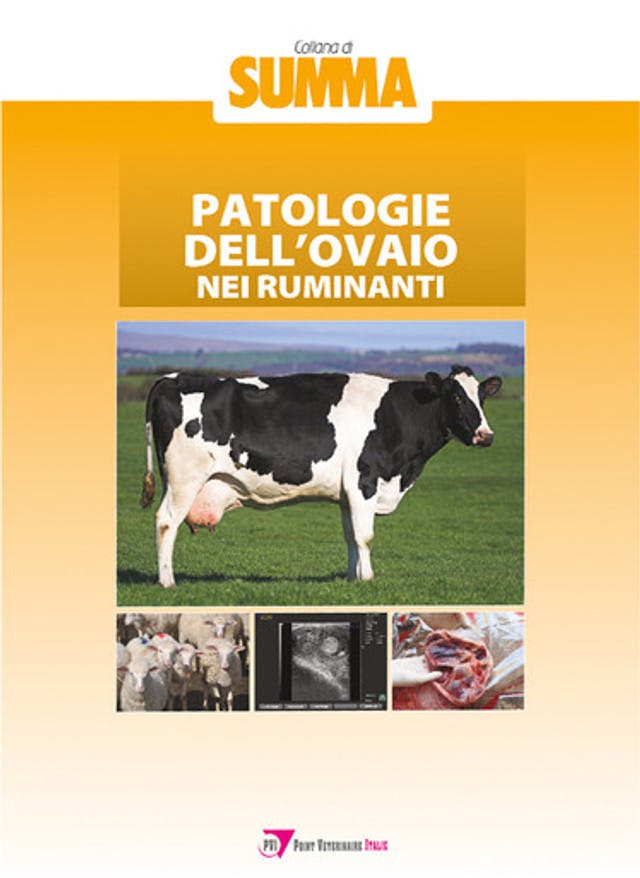 Patologie dell’ovaio nei ruminanti