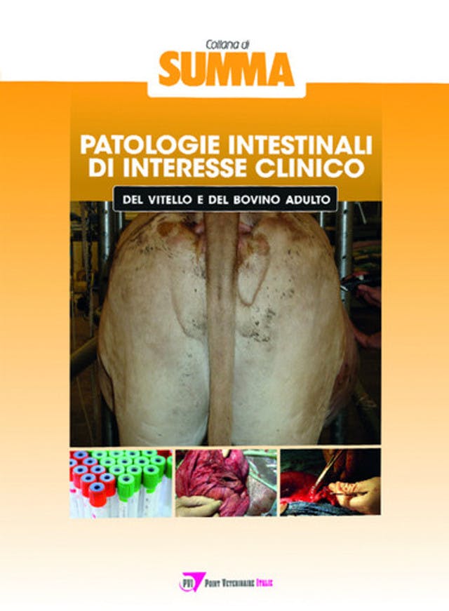 Patologie intestinali di interesse clinico del vitello e del bovino adulto