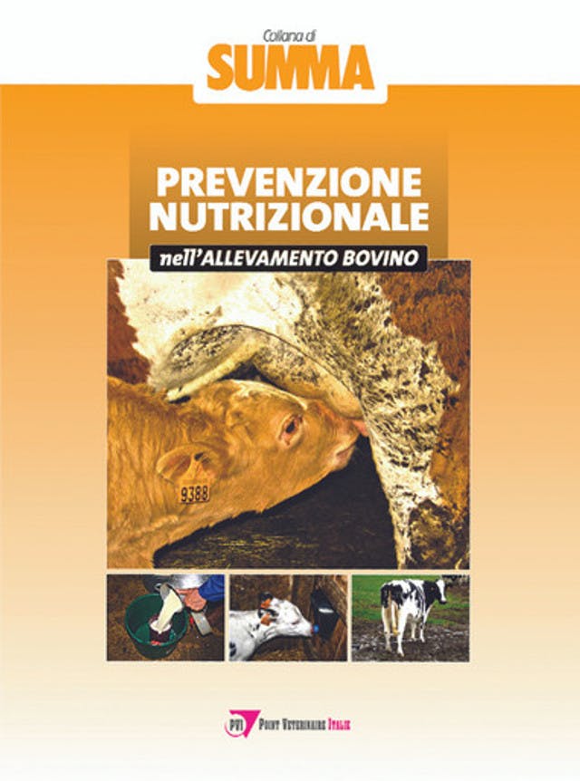 Prevenzione nutrizionale nell’allevamento bovino