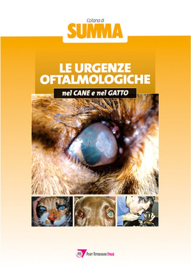 Le urgenze oftalmologiche del cane e del gatto