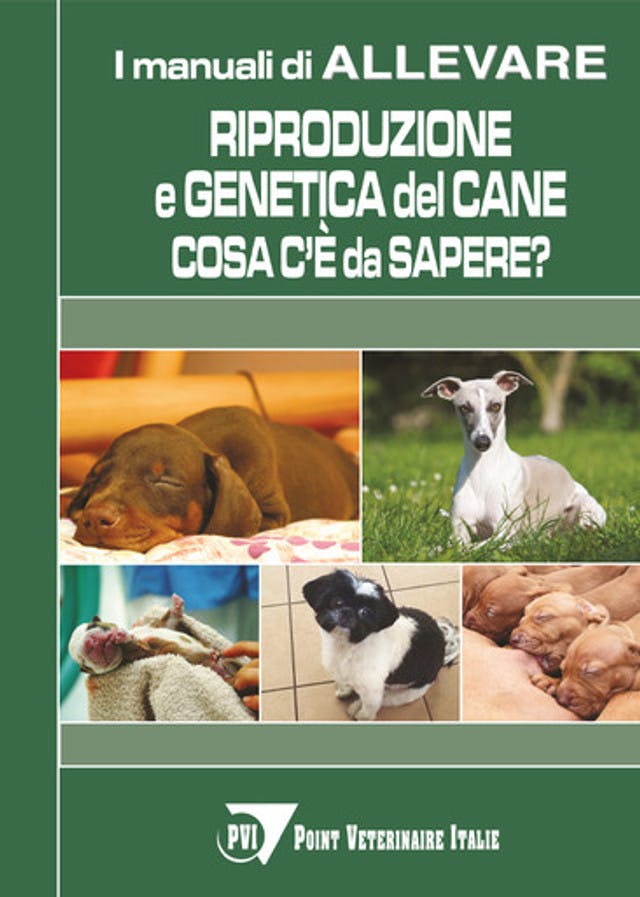 Riproduzione e genetica del cane: cosa c'è da sapere