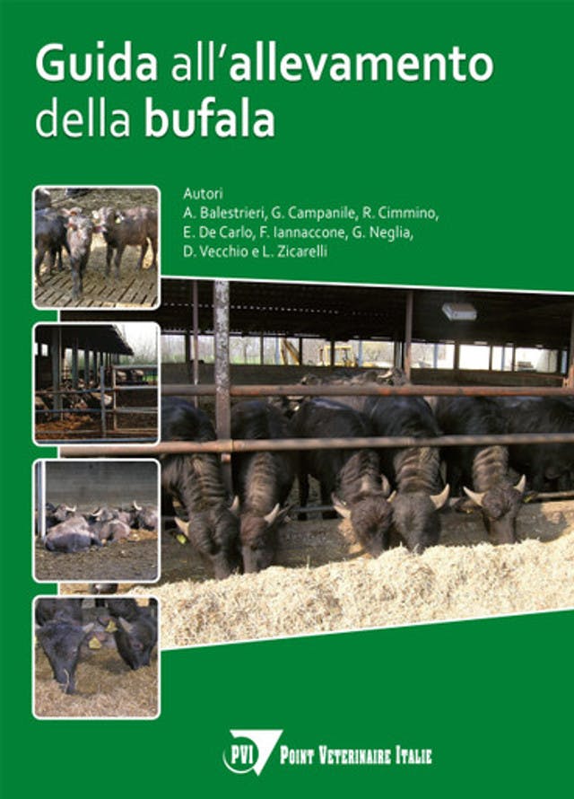 Guida all’allevamento della bufala