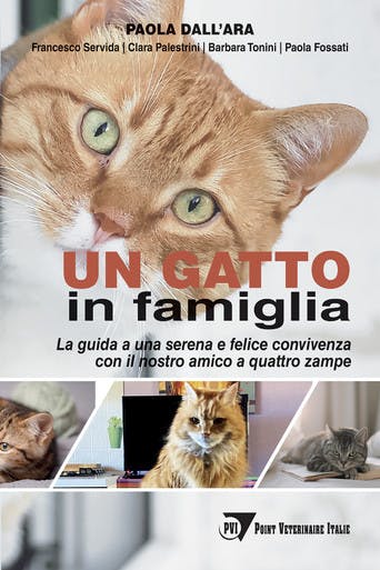 Immagine copertina Un gatto in famiglia