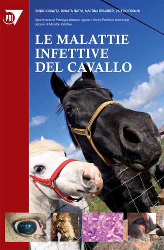 Immagine copertina Le malattie infettive del cavallo