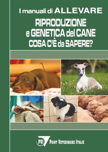 Immagine copertina Riproduzione e genetica del cane: cosa c'è da sapere