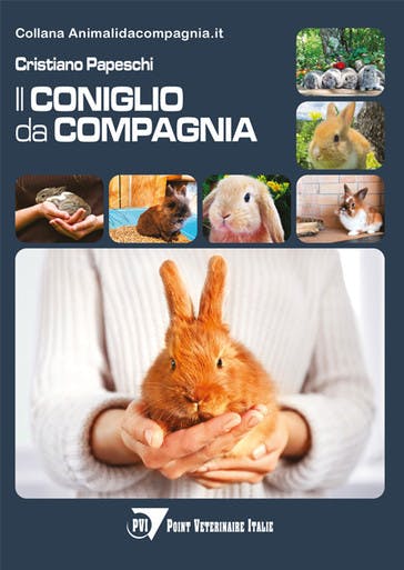 Immagine copertina Il coniglio da compagnia