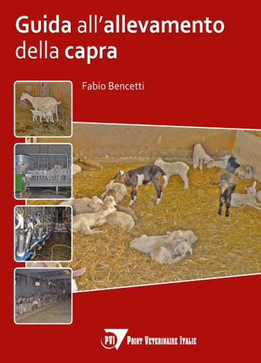 Immagine copertina Guida all’allevamento della capra