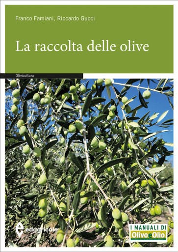Immagine 2 copertina Olivo e olio 1 anno digitale + La raccolta delle olive