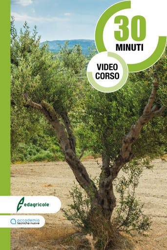 Immagine copertina Corso La potatura dell'olivo a vaso policonico + Olivo e Olio 1 anno cartaceo