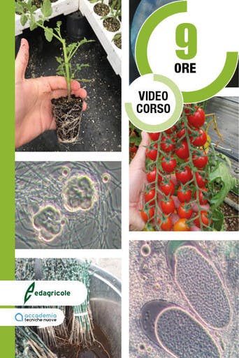 Immagine copertina Corso Microrganismi in agricoltura + Terra è Vita 1 anno digitale