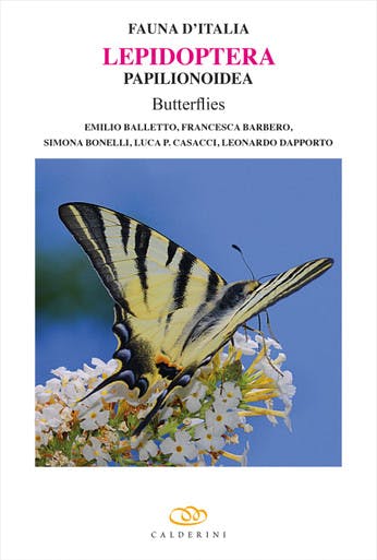 Immagine copertina Fauna d'Italia Vol. LIV - Lepidoptera - Papilionoidea