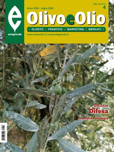 Immagine copertina Olivo e olio 2 anni cartaceo + Oleum