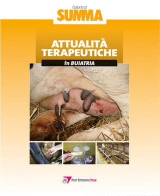 Immagine copertina Attualità terapeutiche in buiatria