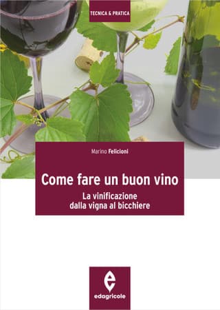 Immagine copertina Come fare un buon vino