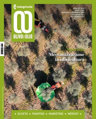 Immagine copertina Olivo e Olio