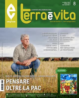 Immagine copertina Terra e Vita