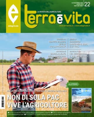 Immagine copertina Terra e Vita