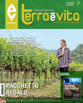 Immagine copertina Terra e Vita