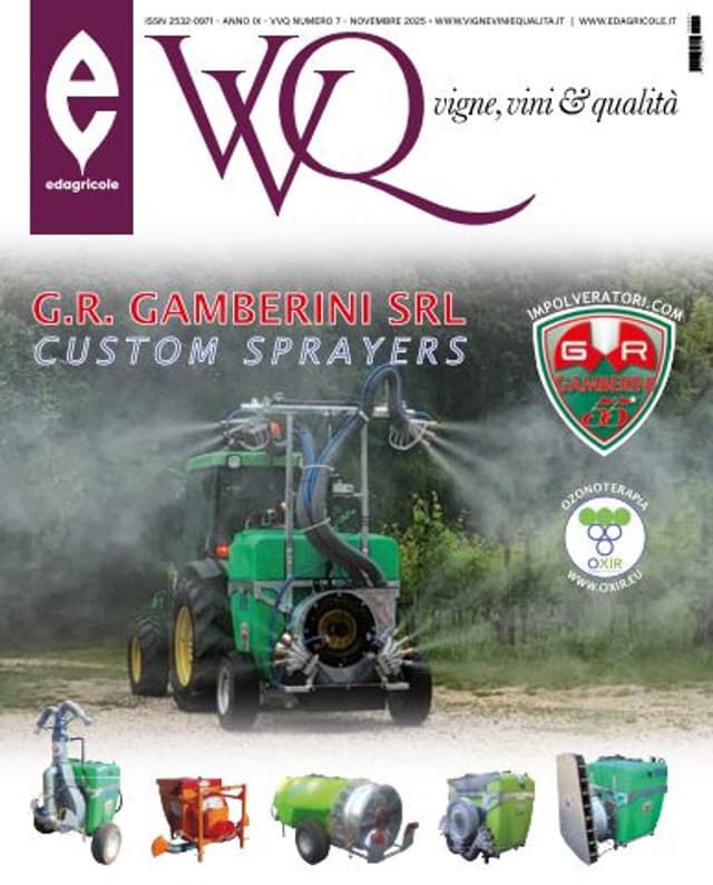 VVQ vigne, vini & qualità